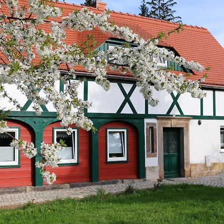 Ferienwohnung In Kurort Jonsdorf Mit Terrasse, Grill Und Garten 외부 사진